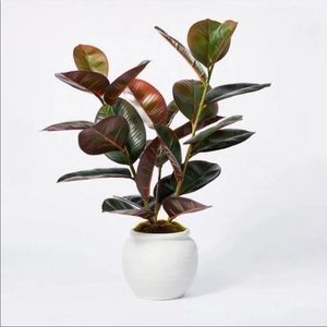 Studio McGee Potted Faux Rubber Plant